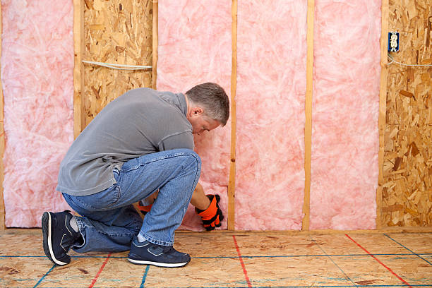 Best Commercial Insulation in Lakeland South, WA